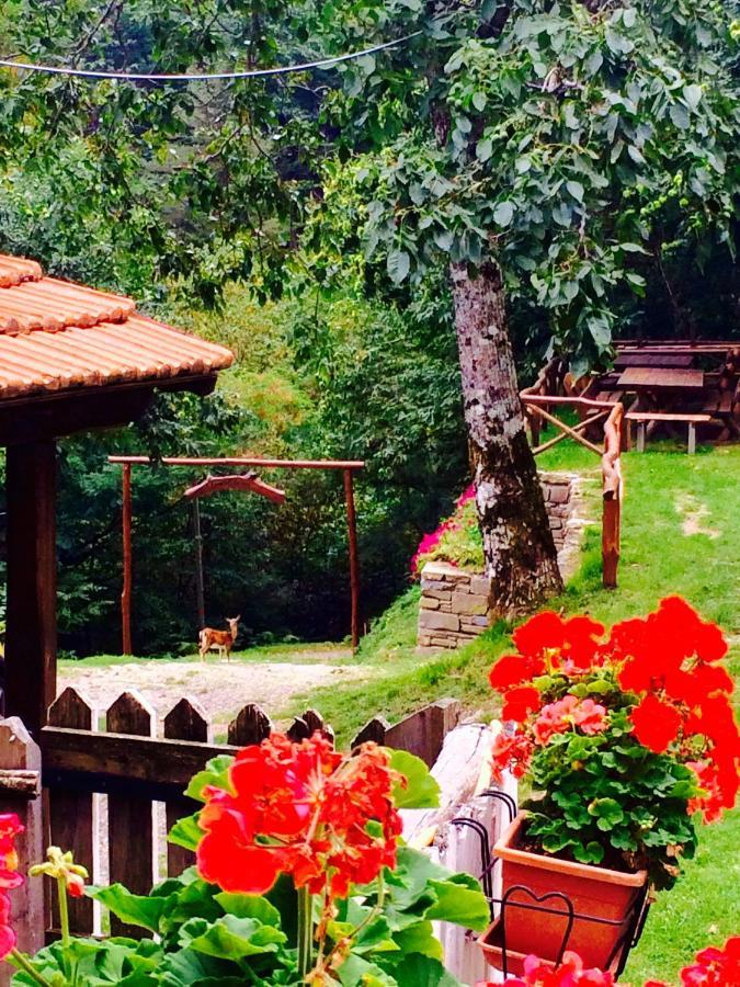 B&B La Presa Molino del Pallone Buitenkant foto